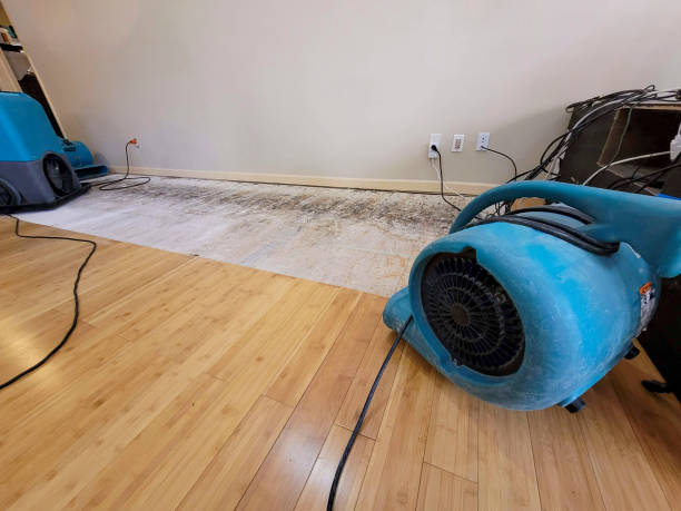 Professional Sewage Cleanup technician working in Coon Valley, WI